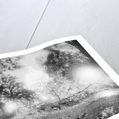 Capitol Building and Lawn After Hurricane by Anonymous
