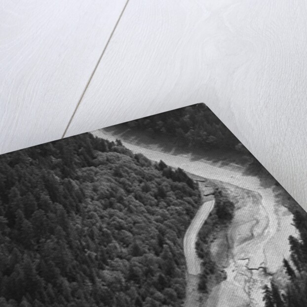 Aerial Flood Of Road Surrounded By Trees by Anonymous