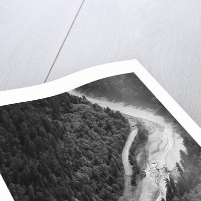 Aerial Flood Of Road Surrounded By Trees by Anonymous