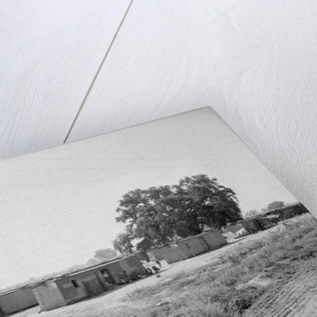 General View Of Boxcar Shanty Town by Anonymous