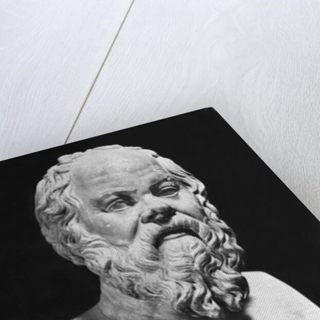 Bust Of Socrates by Anonymous