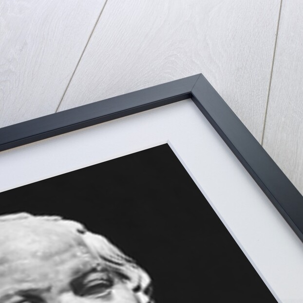 Bust Of Socrates by Anonymous