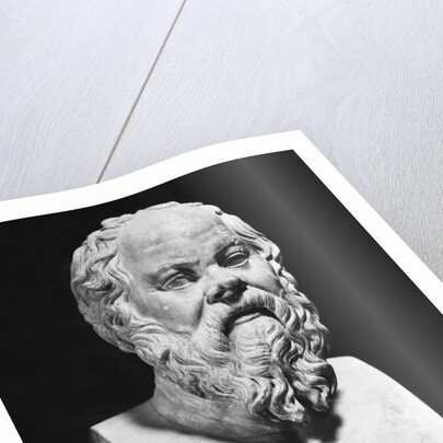 Bust Of Socrates by Anonymous
