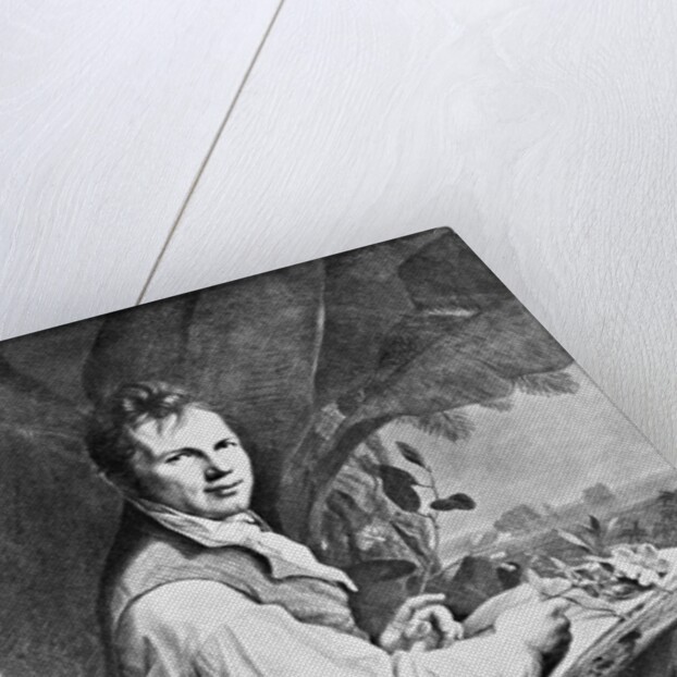 Alexander Von Humboldt Seated W/Plants by Anonymous