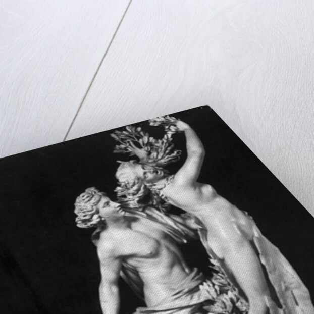Bernini's Sculpture Apollo and Daphne by Anonymous