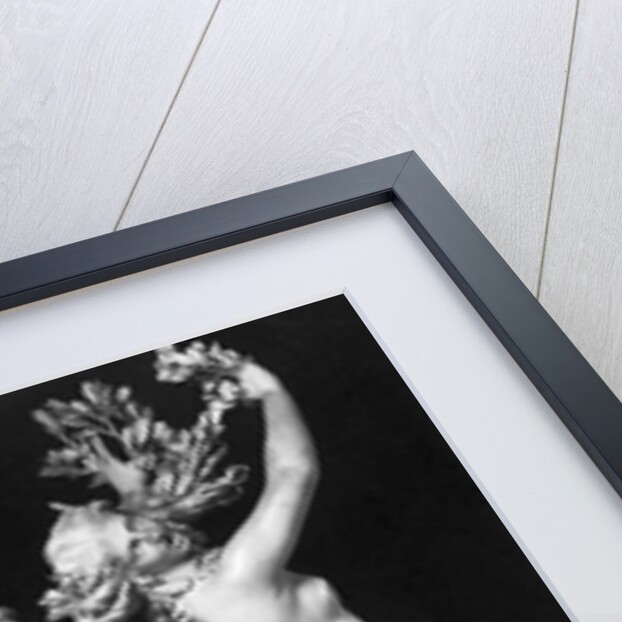 Bernini's Sculpture Apollo and Daphne by Anonymous