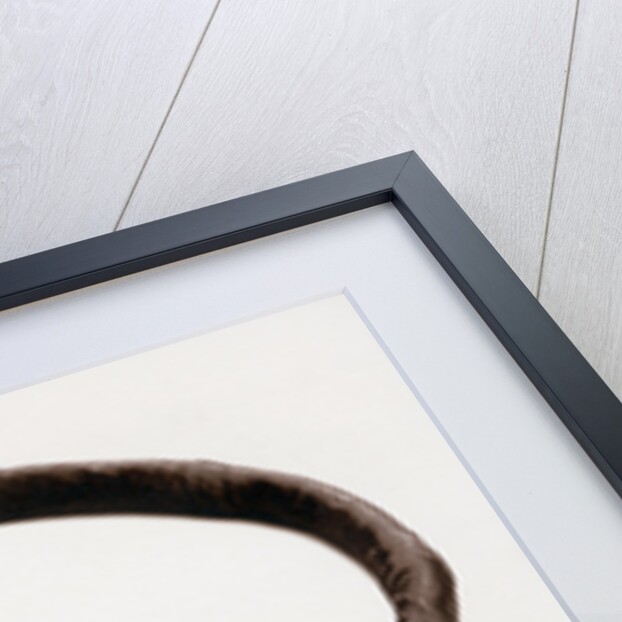 17th-Century Chasity Belt by Anonymous