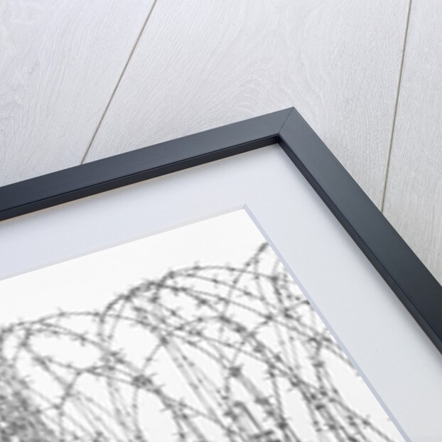 Barbed Wire and Brandenburg Gate by Corbis