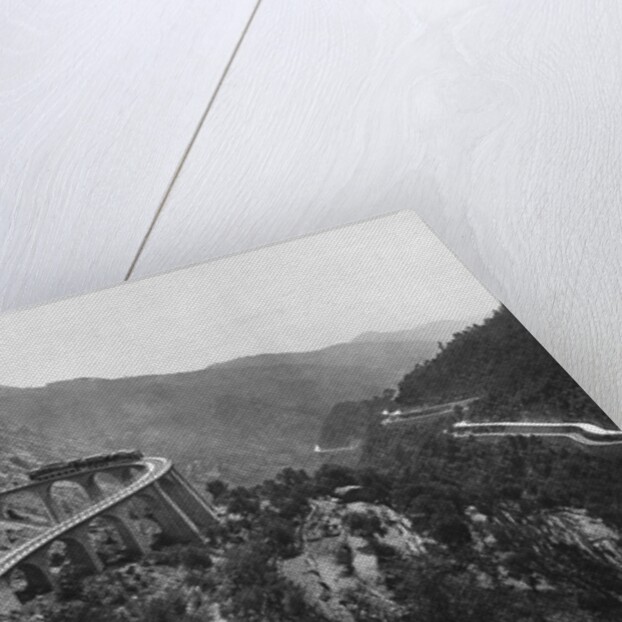 Train Traveling Over Viaduct in Mountain by Anonymous
