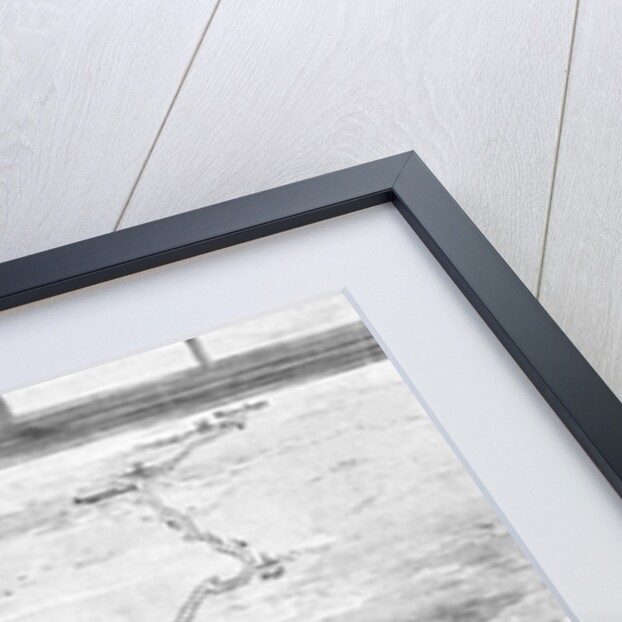 Drawing/Telegraph Transmission of Photo by Anonymous