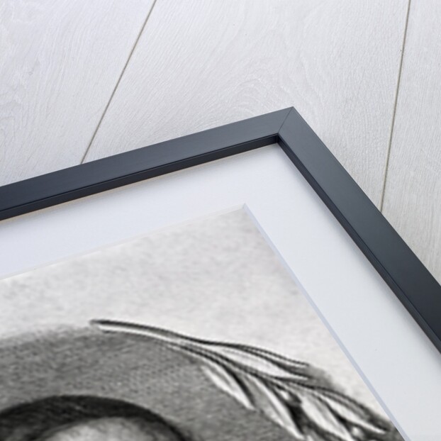 Engraving of Mathematician John Wallis by Anonymous