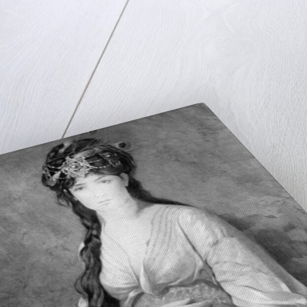 Illus/The Queen of Sheba by Anonymous