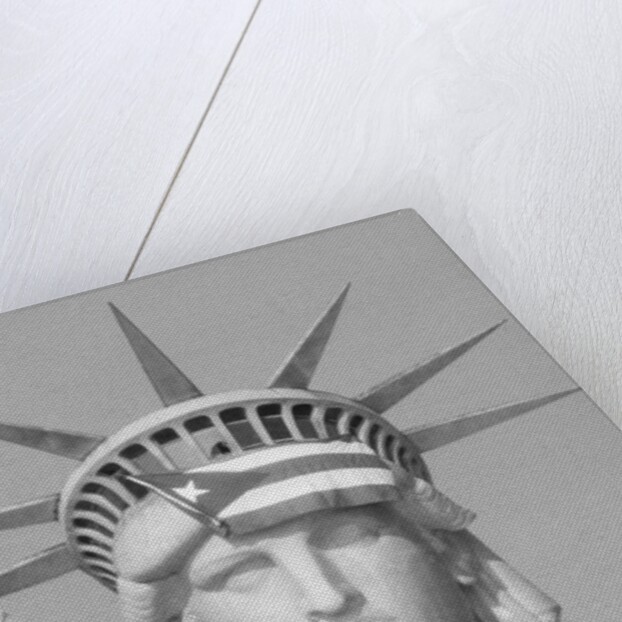 Puerto Rican Flag On Statue Of Liberty by Anonymous