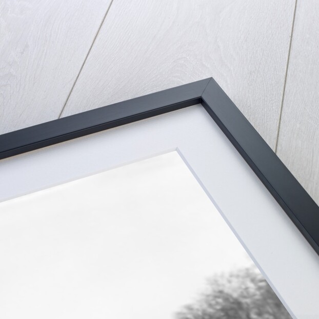 Couple Ice Skating by Anonymous