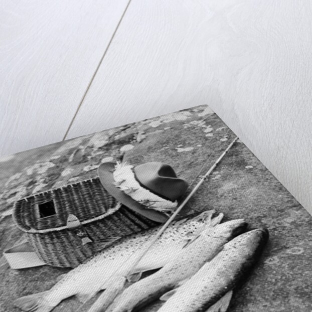 Catch of Trout by Anonymous