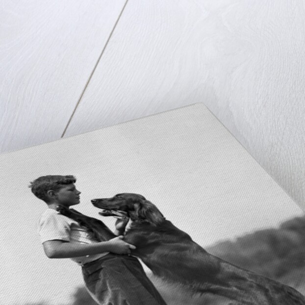 Teenage Boy with Irish Setter by Anonymous