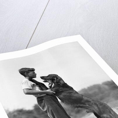 Teenage Boy with Irish Setter by Anonymous