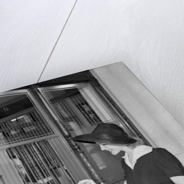 Woman At Bank Teller Window by Anonymous