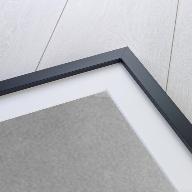 Close-Up Of Silver Dollar by Anonymous