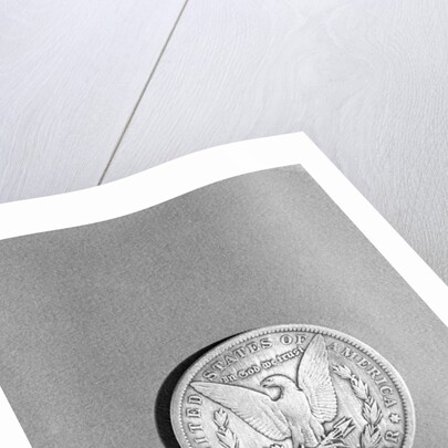 Close-Up Of Silver Dollar by Anonymous