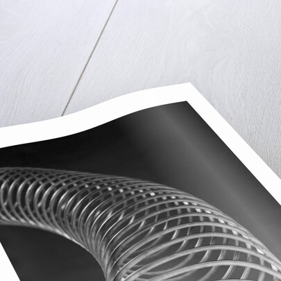 Slinky Toy by Anonymous