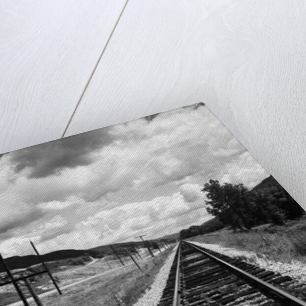 Railroad Tracks Stretching into the Distance by Anonymous