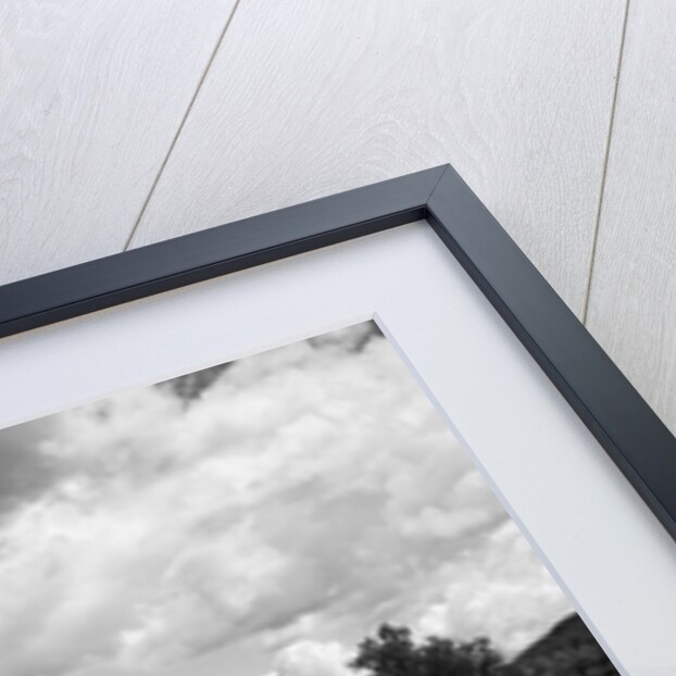 Railroad Tracks Stretching into the Distance by Anonymous