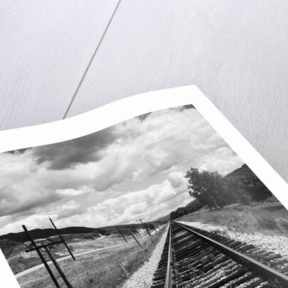 Railroad Tracks Stretching into the Distance by Anonymous