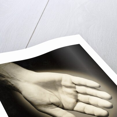 Palm-Side Of A Hand by Anonymous