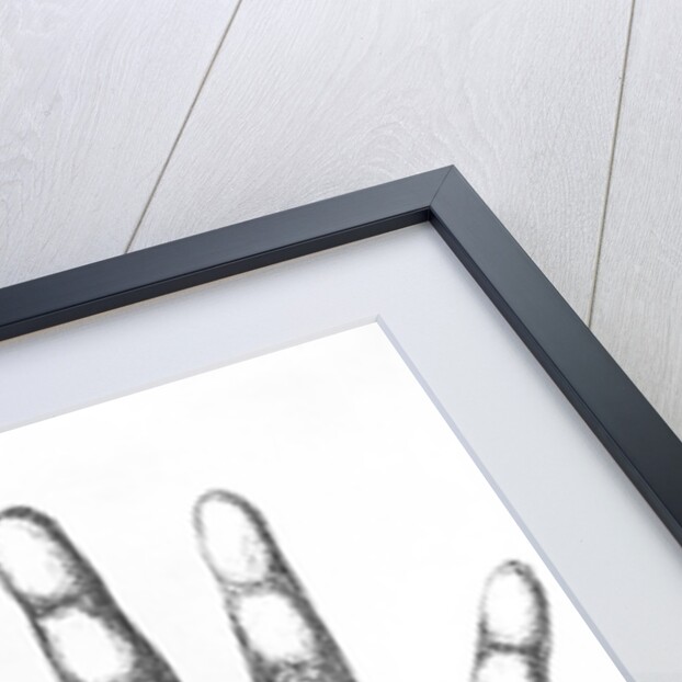The Mounts Of The Hand/Palmistry/Drawing by Anonymous