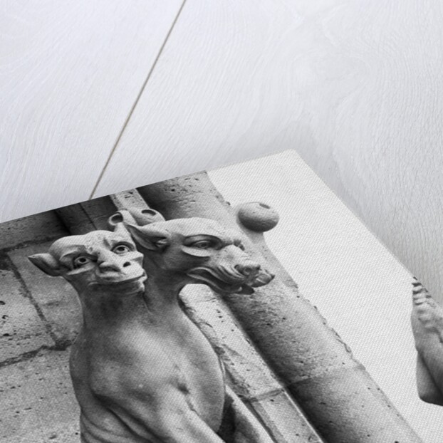 Gargoyle Of Cerebus At Notre Dame by Anonymous