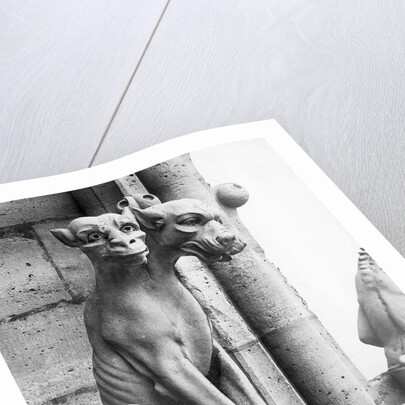 Gargoyle Of Cerebus At Notre Dame by Anonymous