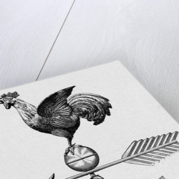 Rooster W/Outstretched Wings On Vane by Anonymous