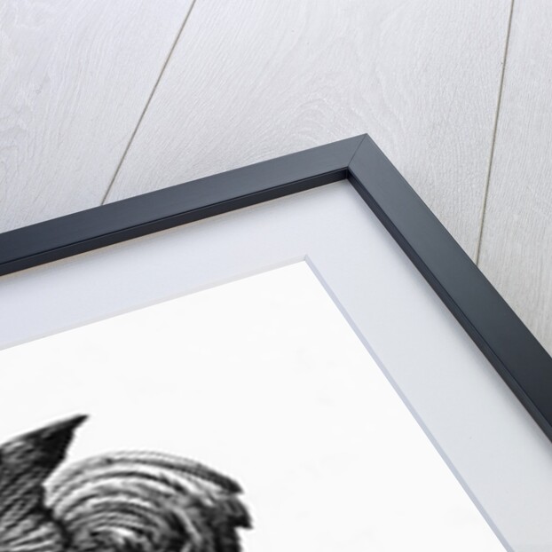 Rooster W/Outstretched Wings On Vane by Anonymous