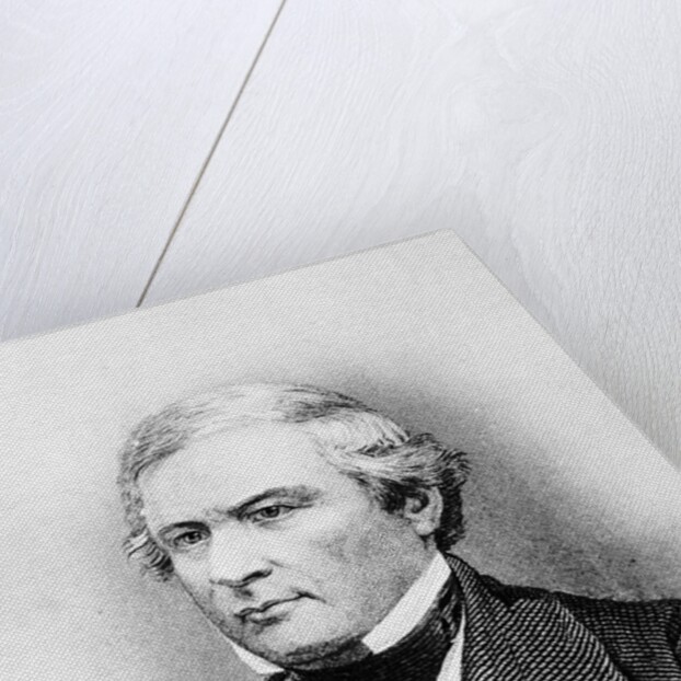 Bust Illustration Of Millard Fillmore by Anonymous