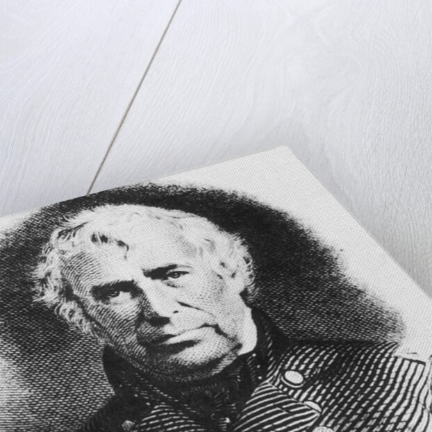 Bust Illustration Of Zachary Taylor by Anonymous