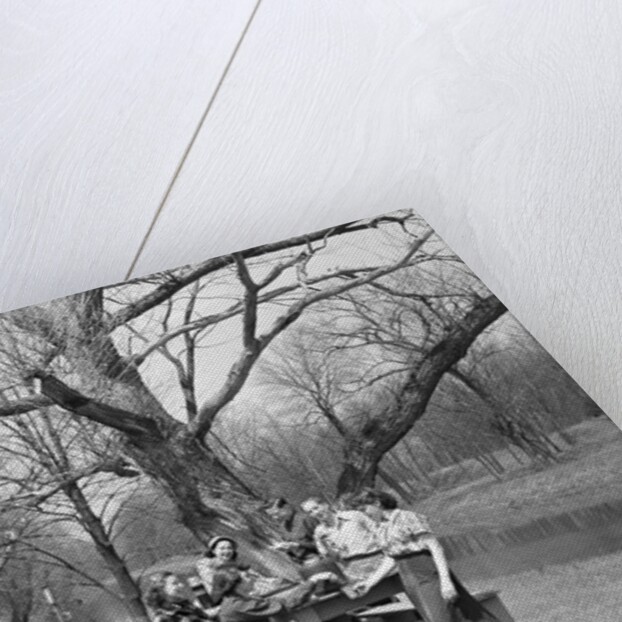 Family Having a Picnic by Anonymous