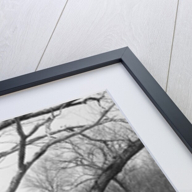 Family Having a Picnic by Anonymous