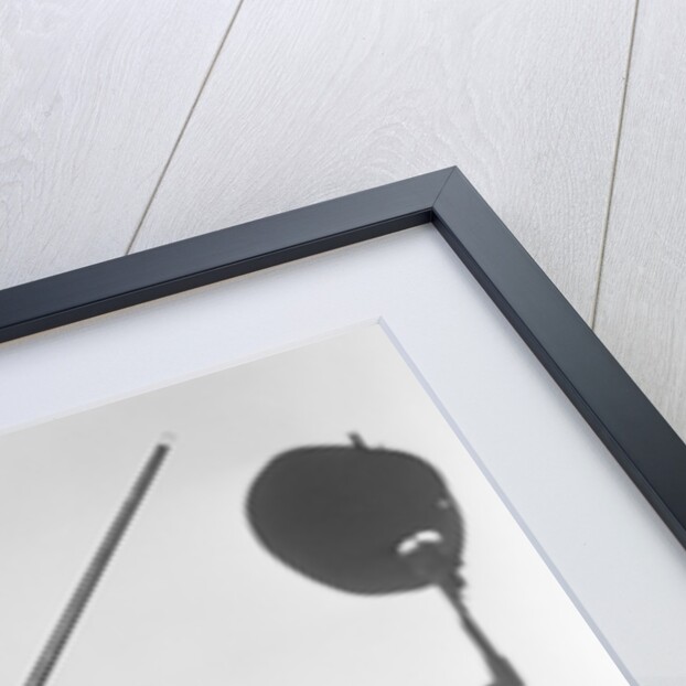 Woman Wearing Tuxedo and Shorts by Anonymous