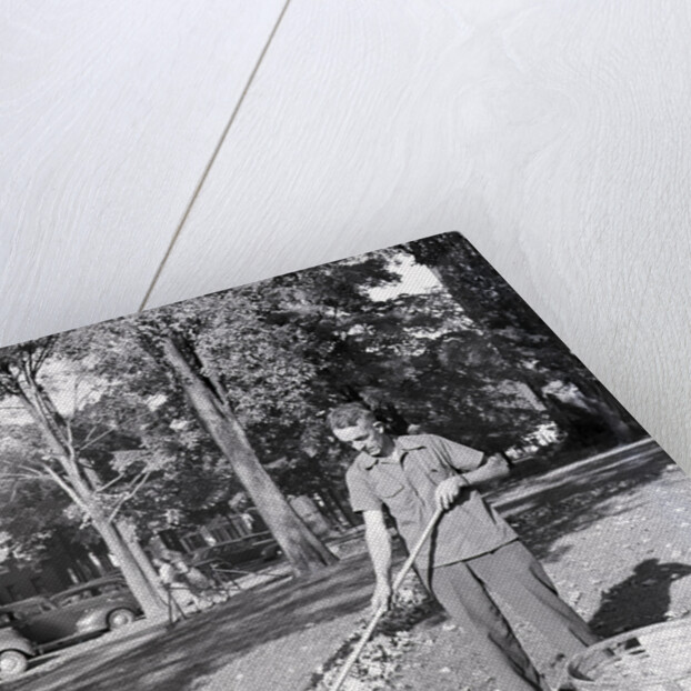 Man Raking Leaves by Anonymous