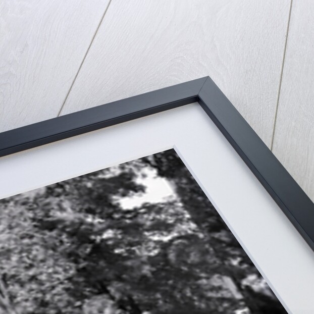 Man Raking Leaves by Anonymous