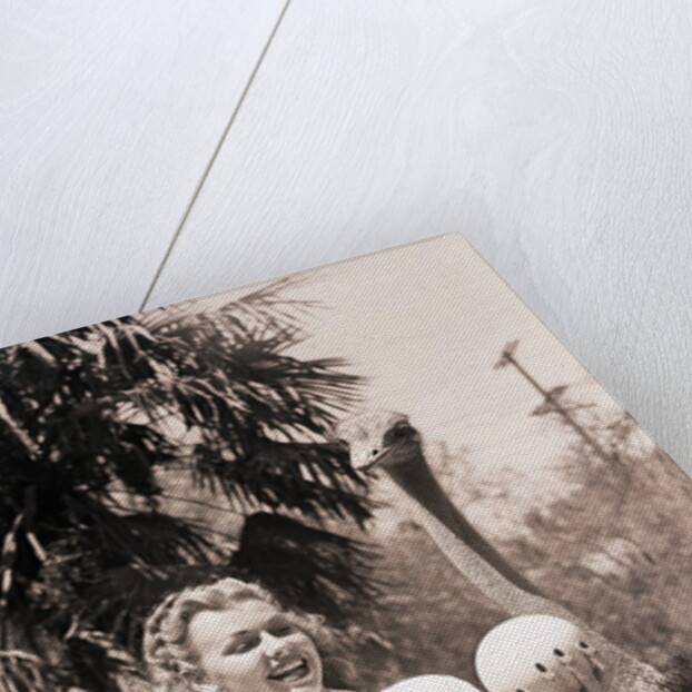 Ostrich Behind Woman Holding Its Eggs by Anonymous