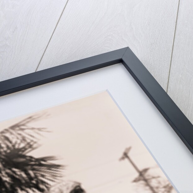 Ostrich Behind Woman Holding Its Eggs by Anonymous