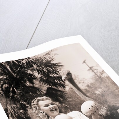 Ostrich Behind Woman Holding Its Eggs by Anonymous