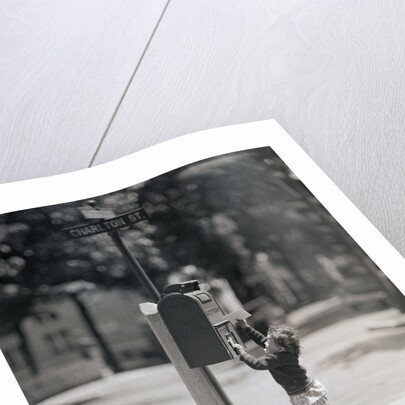 Child Reaching into Mailbox by Anonymous