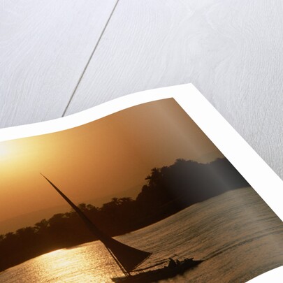 Felucca Sailing at Sunset by Anonymous