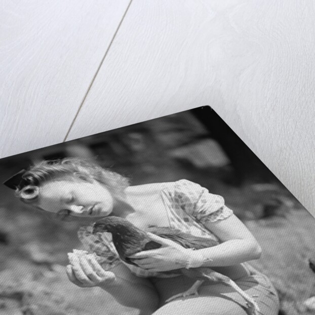 Woman Holds Chicken For Feeding by Anonymous