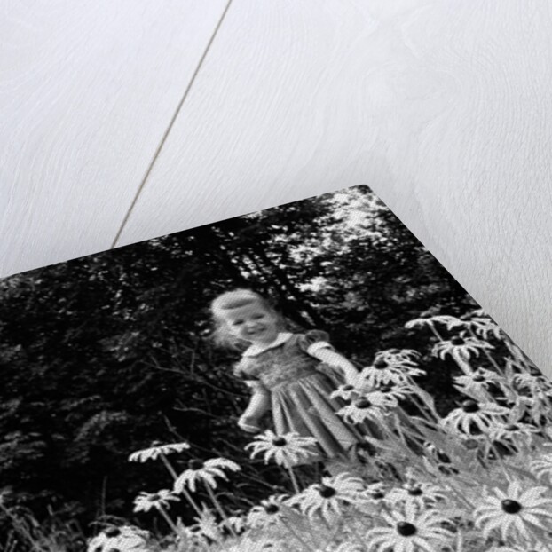 Girl in Daisy Field by Anonymous