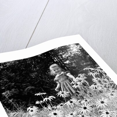 Girl in Daisy Field by Anonymous