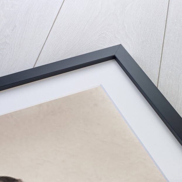 Seated Girl Holding Flowers by Anonymous